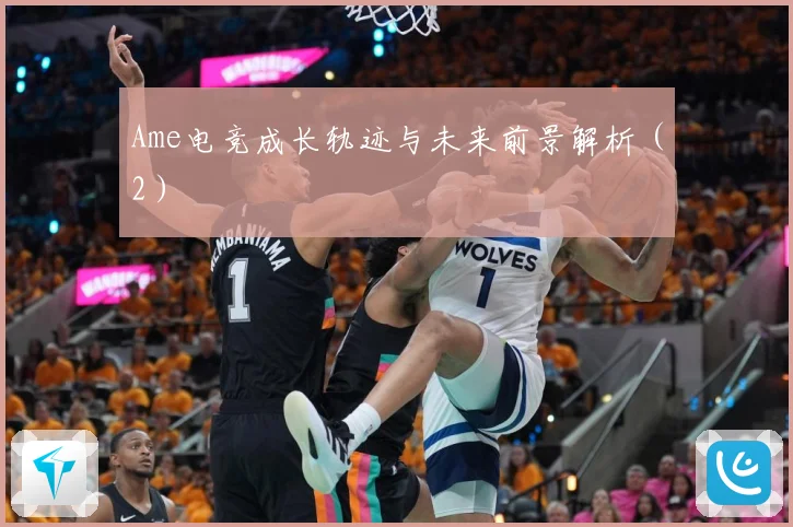 Ame电竞成长轨迹与未来前景解析（2）